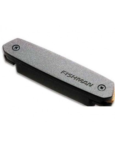 Fishman PRO-NEO-D02 PICK UP CHITARRA ACUSTICA