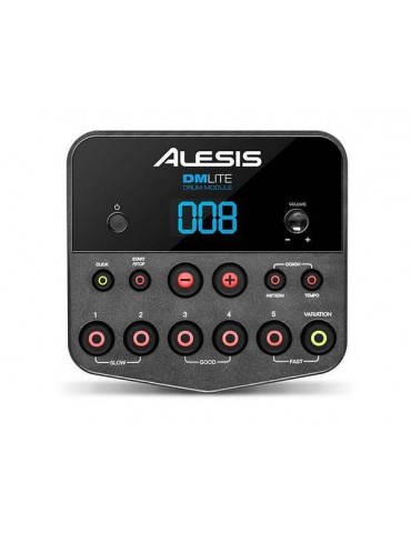 Alesis ALESIS DM LITE KIT
