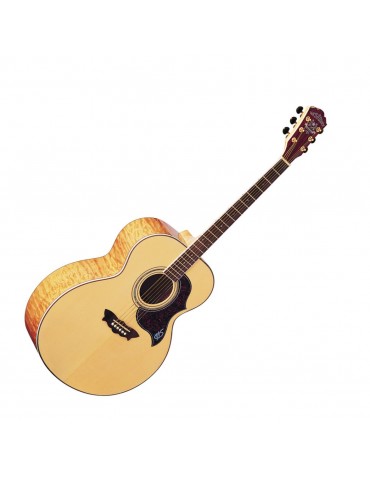 CHITARRA FOLK WASHBURN J28SDL