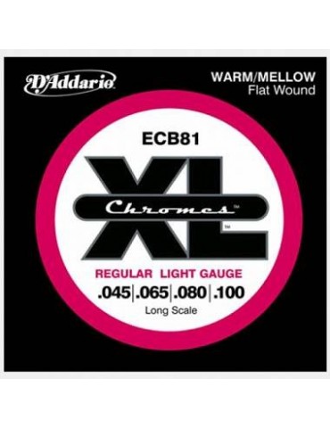 set bass chromes 45-100 long