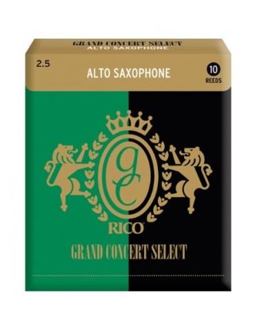 gcs alto 2.5