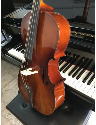 Violino elettrificato clement