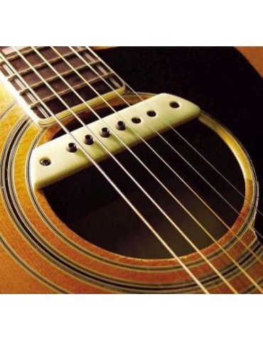 LR Baggs LR BAGGS M1 SOUNDHOLE PASSIVE PICKUP ACUSTICA PASS