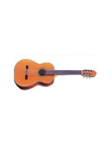 CHITARRA CLASSICA Raimundo P-40 PATERNA