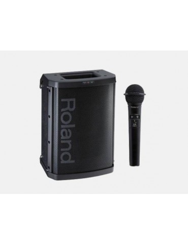 CASSA AMPLIFICATA COMBO A BATTERIE Roland BA55
