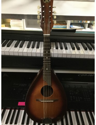 Eko mandolino anni 70 italiano Condizioni eccellenti