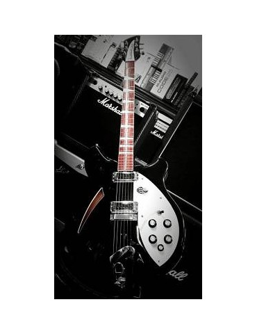 RICKENBACKER - 360 JG JET GLOW BLACK CON CUSTODIA ORIGINALE