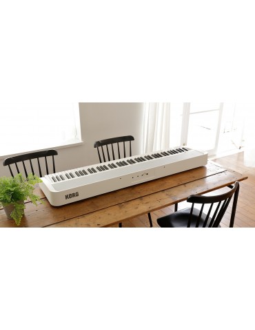 KORG B1 PIANOFORTE DIGITALE 88 TASTI PESATI NERO