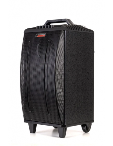AUDIODESIGN M3 10W/L Cassa Attiva 10'' a batteria 300W Bluetooth + 2 Microfoni wireless