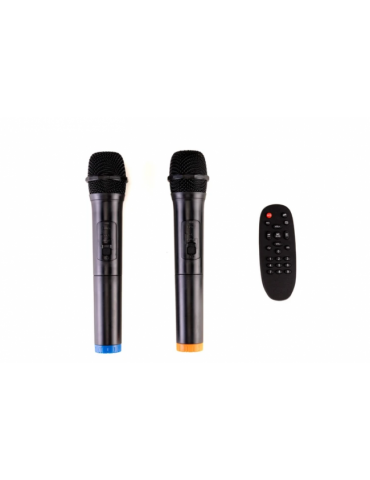 AUDIODESIGN M3 10W/L Cassa Attiva 10'' a batteria 300W Bluetooth + 2 Microfoni wireless