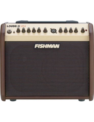 FISHMAN LOUDBOX MINI PRO-LBX-500 lbx ex5 amplificatore chitarra acustica 60w