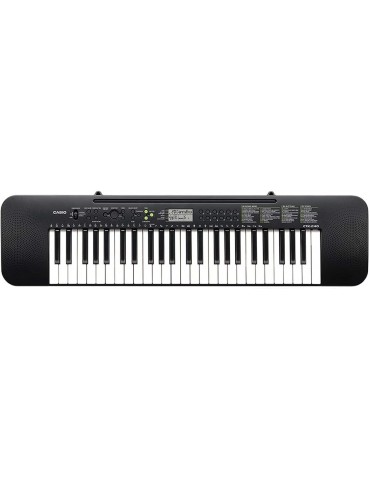 CASIO CTK 240 TASTIERA 49 TASTI