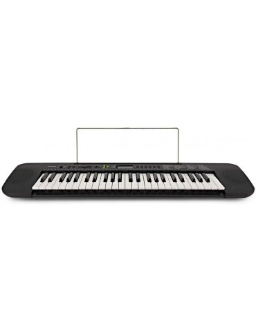 CASIO CTK 240 TASTIERA 49 TASTI
