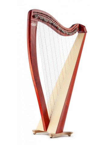 SALVI MOD. T2 ARPA CELTICA 38 CORDE COLORE CILIEGIO
